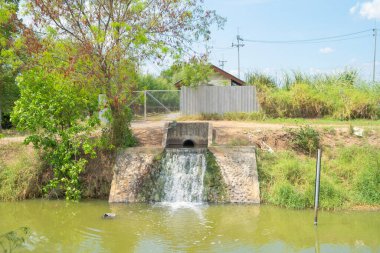 Lanet olası vinç. Tayland 'da doğal manzara arka planında elektrik için geri dönüşüm enerji endüstrisi kavramında rezervuar ve deniz suyu. Çevre.