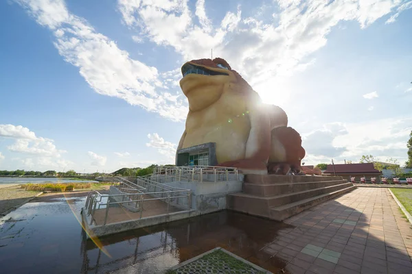 Das Krötenfrosch Museum Einem Quadratischen Denkmal Yasothon Stadt Isan Thailand — Stockfoto
