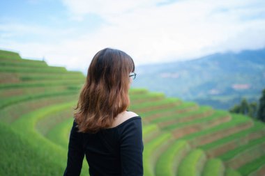 Taze çeltik pirinç terasları olan bir çiftçi kadın, Mu Cang Chai 'nin kırsal ya da kırsal kesimindeki yeşil tarım arazileri, Asya' daki dağ tepeleri vadisi, Vietnam. Doğa manzarası. İnsan yaşam tarzı.