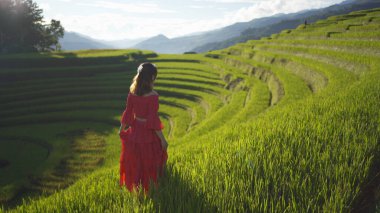 Taze çeltik pirinç terasları olan bir çiftçi kadın, Mu Cang Chai 'nin kırsal ya da kırsal kesimindeki yeşil tarım arazileri, Asya' daki dağ tepeleri vadisi, Vietnam. Doğa manzarası. İnsan yaşam tarzı.