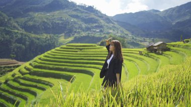 Taze çeltik pirinç terasları olan bir çiftçi kadın, Mu Cang Chai 'nin kırsal ya da kırsal kesimindeki yeşil tarım arazileri, Asya' daki dağ tepeleri vadisi, Vietnam. Doğa manzarası. İnsan yaşam tarzı.