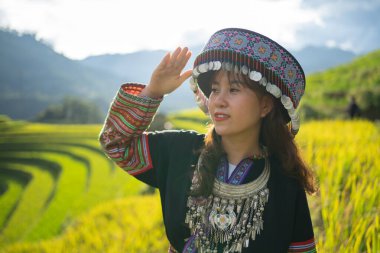 Taze çeltik pirinç terasları olan bir çiftçi kadın, Mu Cang Chai 'nin kırsal ya da kırsal kesimindeki yeşil tarım arazileri, Asya' daki dağ tepeleri vadisi, Vietnam. Doğa manzarası. İnsan yaşam tarzı.