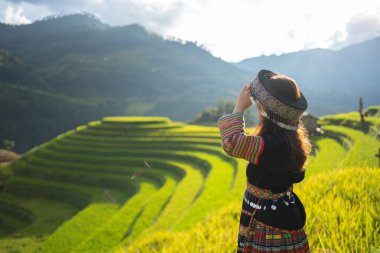 Taze çeltik pirinç terasları olan bir çiftçi kadın, Mu Cang Chai 'nin kırsal ya da kırsal kesimindeki yeşil tarım arazileri, Asya' daki dağ tepeleri vadisi, Vietnam. Doğa manzarası. İnsan yaşam tarzı.