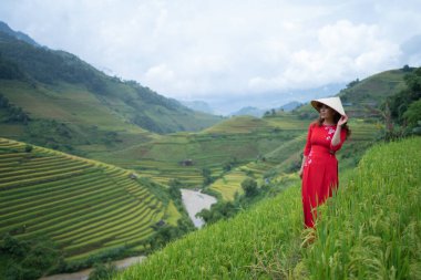 Taze çeltik pirinç terasları olan bir çiftçi kadın, Mu Cang Chai 'nin kırsal ya da kırsal kesimindeki yeşil tarım arazileri, Asya' daki dağ tepeleri vadisi, Vietnam. Doğa manzarası. İnsan yaşam tarzı.
