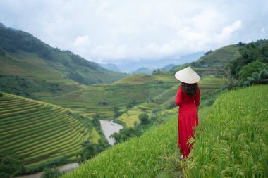 Taze çeltik pirinç terasları olan bir çiftçi kadın, Mu Cang Chai 'nin kırsal ya da kırsal kesimindeki yeşil tarım arazileri, Asya' daki dağ tepeleri vadisi, Vietnam. Doğa manzarası. İnsan yaşam tarzı.