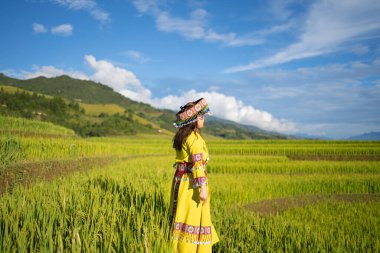 Taze çeltik pirinç terasları olan bir çiftçi kadın, Mu Cang Chai 'nin kırsal ya da kırsal kesimindeki yeşil tarım arazileri, Asya' daki dağ tepeleri vadisi, Vietnam. Doğa manzarası. İnsan yaşam tarzı.