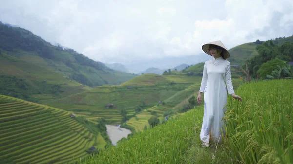 Farmer Woman Fresh Paddy Rice Terraces Green Agricultural Fields Countryside — Stock Photo, Image