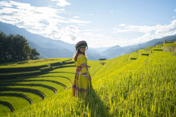 Taze çeltik pirinç terasları olan bir çiftçi kadın, Mu Cang Chai 'nin kırsal ya da kırsal kesimindeki yeşil tarım arazileri, Asya' daki dağ tepeleri vadisi, Vietnam. Doğa manzarası. İnsan yaşam tarzı.