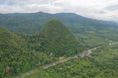 Yaz mevsiminde ulusal parktaki tropikal ormanın yukarısından yemyeşil ağaçların havadan görünüşü. Doğa manzarası. Desen dokusu arkaplanı.