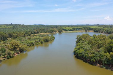 Yeşil mangrov ormanları, nehir, gölet ya da göl olan bir bahçe parkının havadan görünüşü. Doğa manzarası arka planı, Tayland.