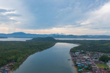 Yeşil mangrov ormanları, nehir, gölet ya da göl olan bir bahçe parkının havadan görünüşü. Doğa manzarası arka planı, Tayland.