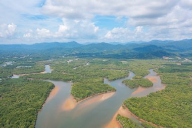 Yeşil mangrov ormanları, nehir, gölet ya da göl olan bir bahçe parkının havadan görünüşü. Doğa manzarası arka planı, Tayland.