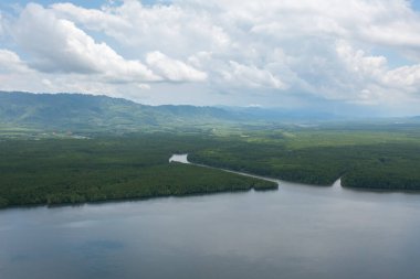 Yeşil mangrov ormanları, nehir, gölet ya da göl olan bir bahçe parkının havadan görünüşü. Doğa manzarası arka planı, Tayland.