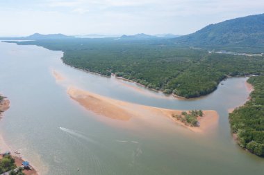 Yeşil mangrov ormanları, nehir, gölet ya da göl olan bir bahçe parkının havadan görünüşü. Doğa manzarası arka planı, Tayland.