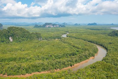 Yeşil mangrov ormanları, nehir, gölet ya da göl olan bir bahçe parkının havadan görünüşü. Doğa manzarası arka planı, Tayland.