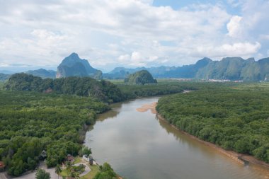 Yeşil mangrov ormanları, nehir, gölet ya da göl olan bir bahçe parkının havadan görünüşü. Doğa manzarası arka planı, Tayland.
