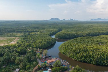 Yeşil mangrov ormanları, nehir, gölet ya da göl olan bir bahçe parkının havadan görünüşü. Doğa manzarası arka planı, Tayland.