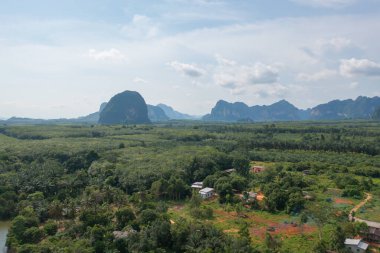 Yeşil mangrov ormanları, nehir, gölet ya da göl olan bir bahçe parkının havadan görünüşü. Doğa manzarası arka planı, Tayland.