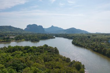Yeşil mangrov ormanları, nehir, gölet ya da göl olan bir bahçe parkının havadan görünüşü. Doğa manzarası arka planı, Tayland.