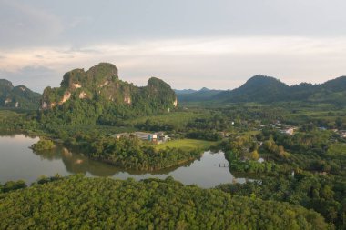Yeşil mangrov ormanları, nehir, gölet ya da göl olan bir bahçe parkının havadan görünüşü. Doğa manzarası arka planı, Tayland.