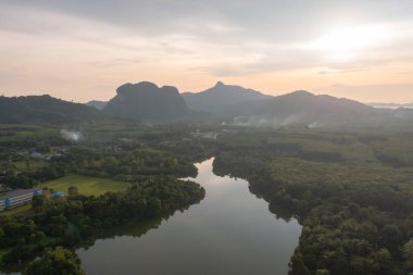 Yeşil mangrov ormanları, nehir, gölet ya da göl olan bir bahçe parkının havadan görünüşü. Doğa manzarası arka planı, Tayland.