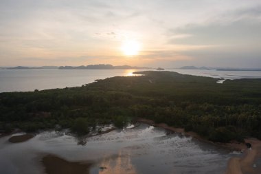 Yeşil mangrov ormanları, nehir, gölet ya da göl olan bir bahçe parkının havadan görünüşü. Doğa manzarası arka planı, Tayland.