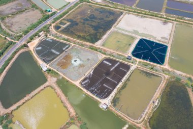 Doğal deniz tuzlu göletlerinin havadan görünüşü, göl ya da deniz. Tayland 'da geleneksel sanayide çiftlik arazisi. Asya kültürü. Tarım sulama. Nehir yansıması.