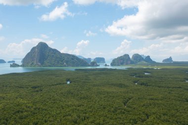 Samet Nangshe, Phang Nga 'nın havadan görünüşü yaz mevsiminde tropikal ormanların tepesinden yemyeşil ağaçlar. Doğa manzarası. Desen dokusu arkaplanı.