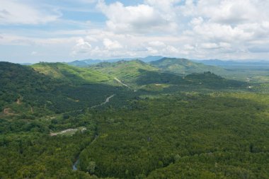 Samet Nangshe, Phang Nga 'nın havadan görünüşü yaz mevsiminde tropikal ormanların tepesinden yemyeşil ağaçlar. Doğa manzarası. Desen dokusu arkaplanı.