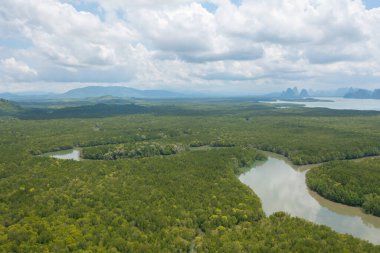 Samet Nangshe, Phang Nga 'nın havadan görünüşü yaz mevsiminde tropikal ormanların tepesinden yemyeşil ağaçlar. Doğa manzarası. Desen dokusu arkaplanı.