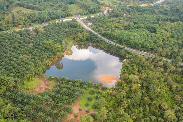 Aerial top view of a garden park with green mangrove forest trees, river, pond or lake. Nature landscape background, Thailand.