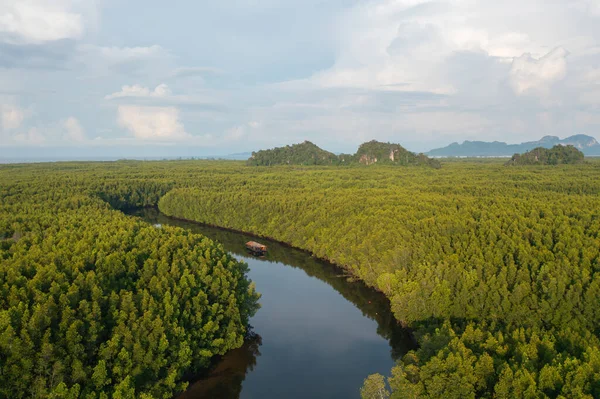 Yeşil Mangrov Ormanları Nehir Gölet Göl Olan Bir Bahçe Parkının — Stok fotoğraf