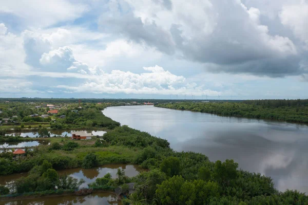 Yeşil mangrov ormanları, nehir, gölet ya da göl olan bir bahçe parkının havadan görünüşü. Doğa manzarası arka planı, Tayland.