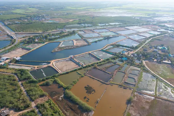 Aerial view of natural sea salt ponds, lake or sea. Farm field outdoor in traditional industry in Thailand. Asia culture. Agriculture irrigation. River reflection.