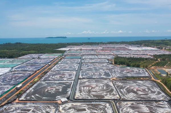 Doğal Deniz Tuzlu Göletlerinin Havadan Görünüşü Göl Deniz Tayland Geleneksel — Stok fotoğraf