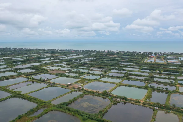 Aerial View Natural Sea Salt Ponds Lake Sea Farm Field — ストック写真