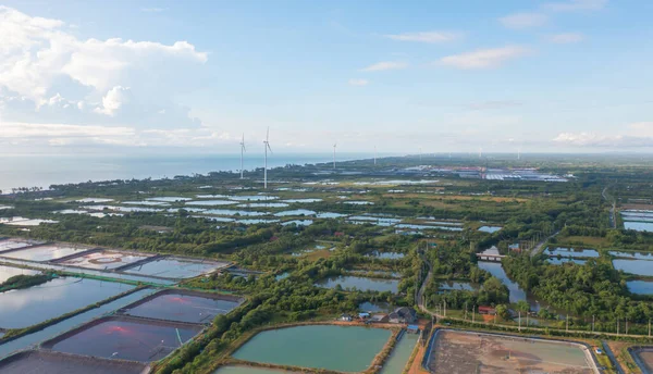 Rüzgar Türbinlerinin Yel Değirmenlerinin Hava Manzarası Sanayi Fabrikasındaki Deniz Kıyısı — Stok fotoğraf