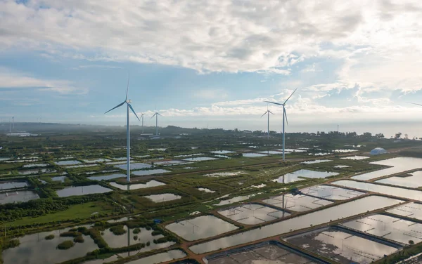 Aerial view of wind turbines or windmills farm field and sea shore beach in industry factory. water power, sustainable green clean energy, and environment concept. Nature innovation.
