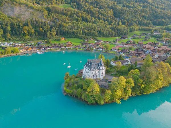 Aerial top view of garden park with green mangrove forest trees, river, pond or lake. Nature landscape background, iseltwald, Switzerland.