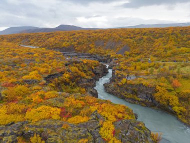Sonbahar mevsiminde İzlanda 'da Hraunfossar şelalesinin hava manzarası. Ünlü doğa manzarası arka planı