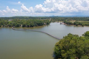 Yeşil mangrov ormanları, nehir, gölet ya da göl olan bir köprü manzarası. Doğa manzarası arka planı, Tayland.