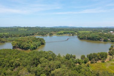 Yeşil mangrov ormanları, nehir, gölet ya da göl olan bir köprü manzarası. Doğa manzarası arka planı, Tayland.