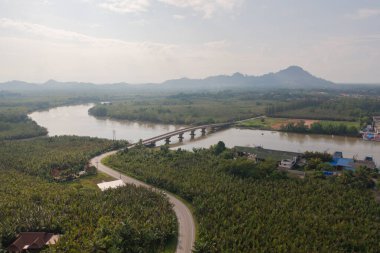 Yeşil mangrov ormanları, nehir, gölet ya da göl olan bir köprü manzarası. Doğa manzarası arka planı, Tayland.
