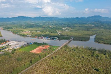 Yeşil mangrov ormanları, nehir, gölet ya da göl olan bir köprü manzarası. Doğa manzarası arka planı, Tayland.
