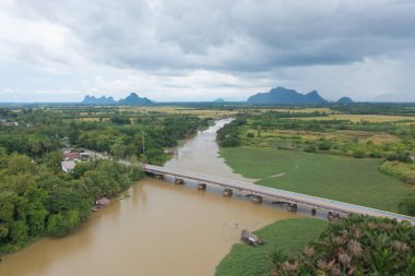 Yeşil mangrov ormanları, nehir, gölet ya da göl olan bir köprü manzarası. Doğa manzarası arka planı, Tayland.