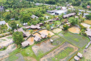 Yeşil mangrov ormanları, nehir, gölet ya da göl olan bir köprü manzarası. Doğa manzarası arka planı, Tayland.
