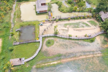 Yeşil mangrov ormanları, nehir, gölet ya da göl olan bir köprü manzarası. Doğa manzarası arka planı, Tayland.