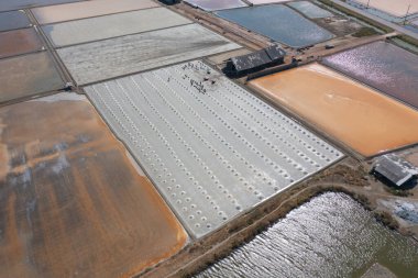 Çiftçilerin denizle birlikte deniz tuzu yığınları yapmalarını gösteren hava manzarası. Çiftlik arazisi. Tayland 'da geleneksel tuz endüstrisinde doğa malzemesi. Asya kültürü. Tarım yaşam tarzı insanları