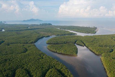 Trang, Tayland 'daki Heart Adası' nın havadan görünüşü. Doğanın arka planında orman ağaçları.
