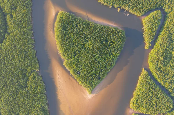 Вид Зверху Острів Серця Провінції Транг Таїланд Лісові Дерева Фоні — стокове фото